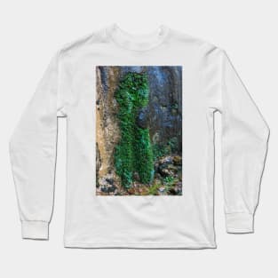 Weeping Rock Topiary - Zion - Utah Long Sleeve T-Shirt